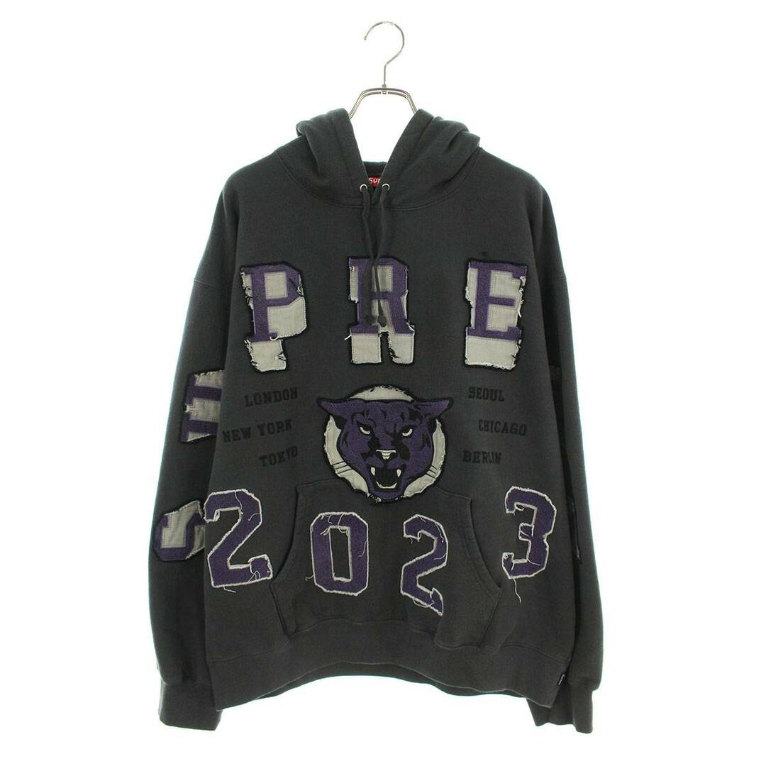 Supreme Washed Panther Hooded Sweatshirt