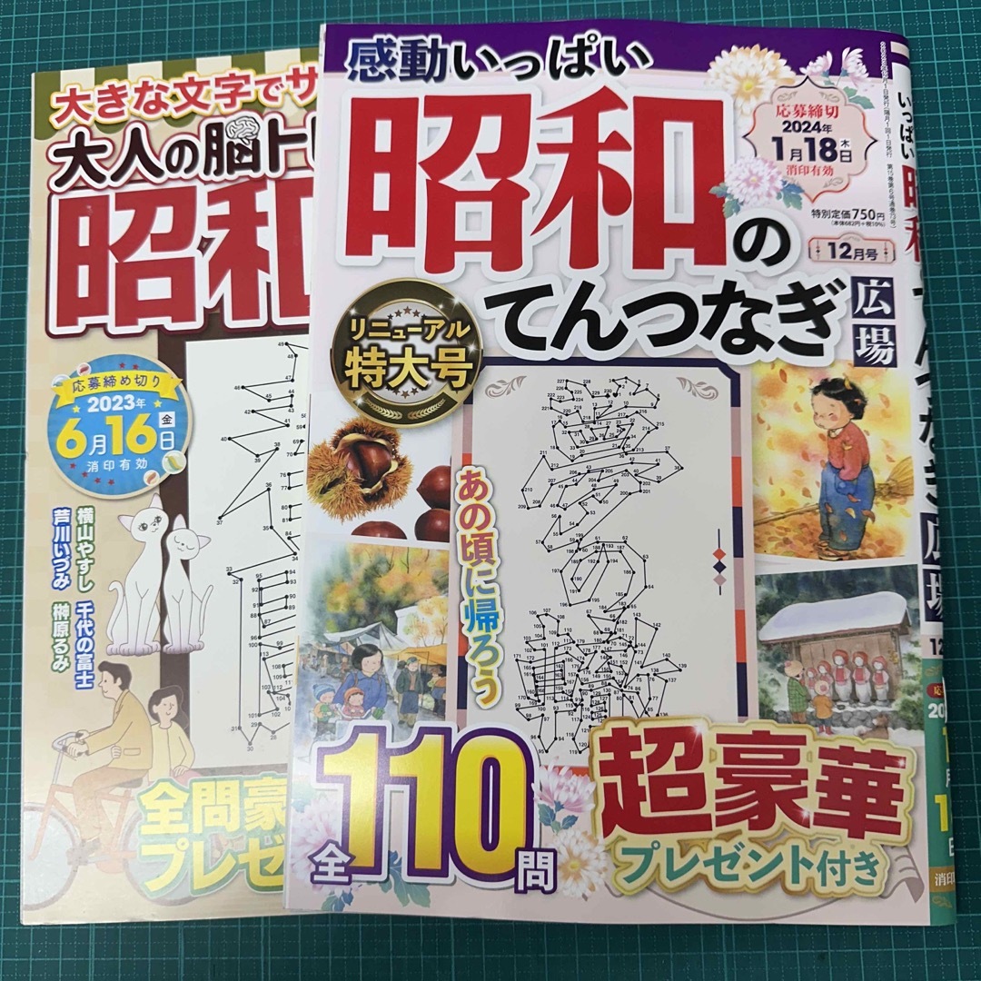 昭和のてんつなぎ広場4月号 （家族で遊ぼう 点つなぎひろば 2019