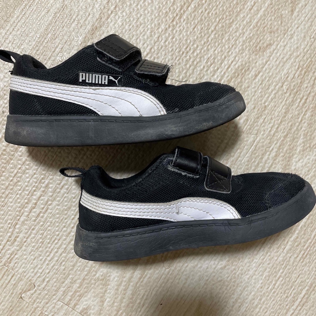 PUMA(プーマ)のPUMA キッズスニーカー　17㎝ キッズ/ベビー/マタニティのキッズ靴/シューズ(15cm~)(スニーカー)の商品写真