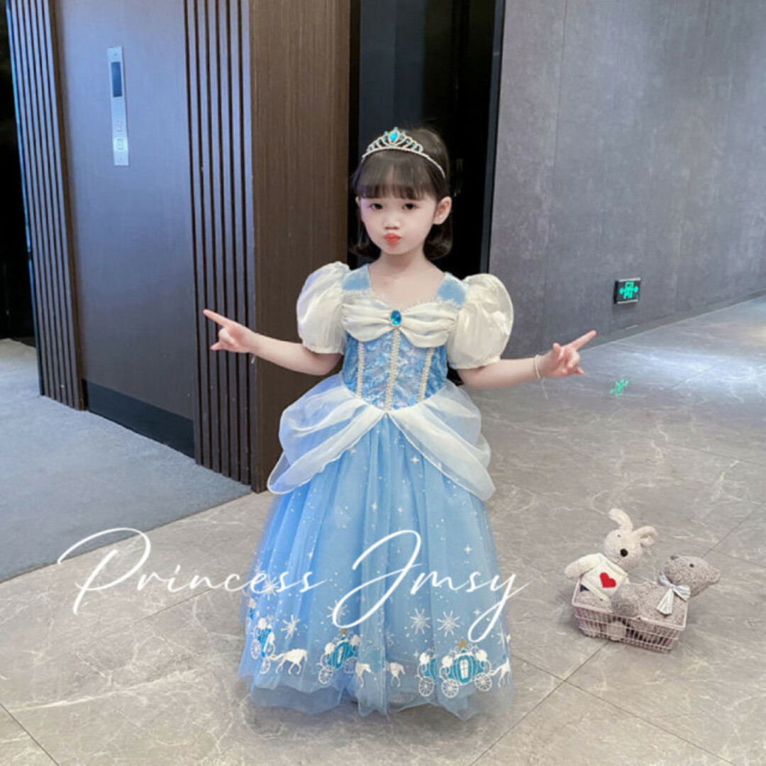 Disney - 110cm▶︎半袖長袖シンデレラドレス ディズニー プリンセス ...