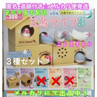 文鳥ライフ3　3種　ガチャ　鳥　とり　巣ミニチュア(その他)