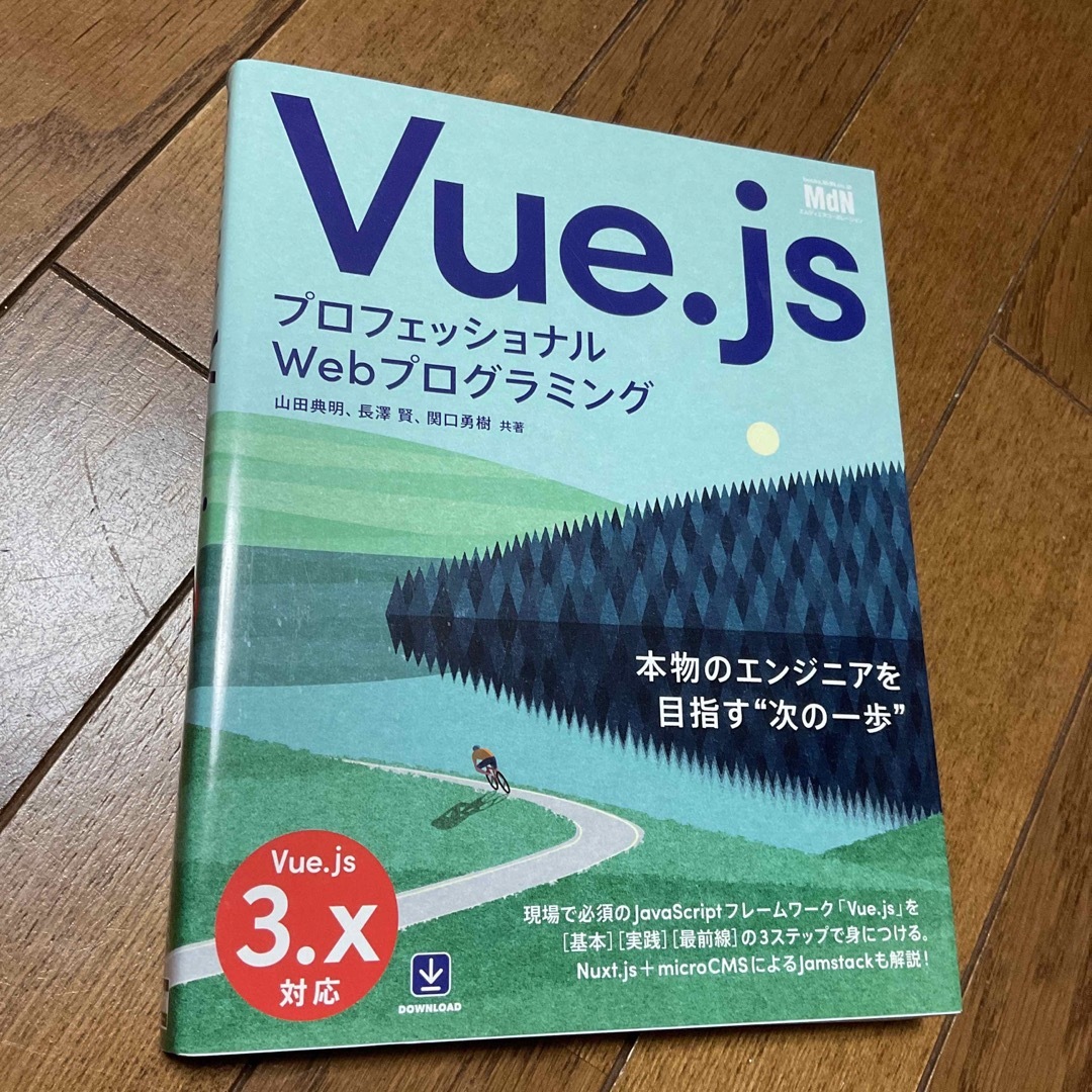 Impress(インプレス)のＶｕｅ．ｊｓ　プロフェッショナルWEBプログラミング エンタメ/ホビーの本(コンピュータ/IT)の商品写真