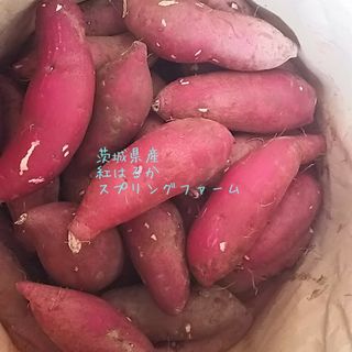 10㌔以上R5年産茨城県紅はるかS&2Sメイン少し訳あり品サツマイモ減農薬栽培(野菜)