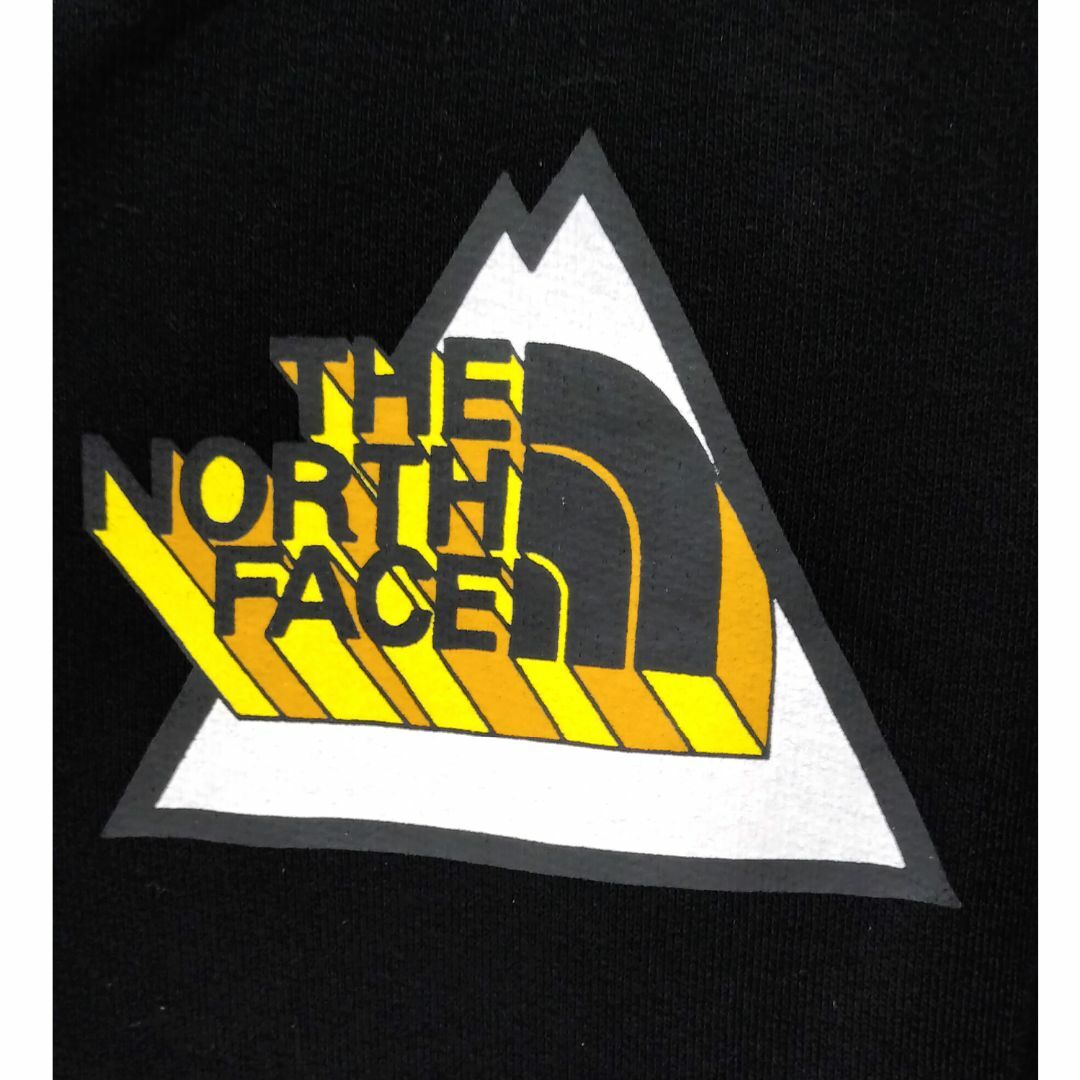 THE NORTH FACE(ザノースフェイス)のTHE NORTH FACE パーカー プルオーバー ザ・ノース・フェイス メンズのトップス(パーカー)の商品写真