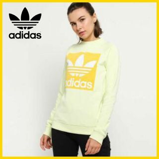 アディダス グリーン トレーナー/スウェット(レディース)の通販 99点