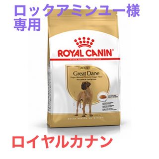 ろっくアルミンユー様専用 　ロイヤルカナン　グレートテン成犬用(ペットフード)