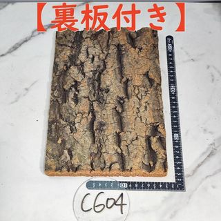 c427 【3枚セット】 コルク樹皮 コルク板 バージンコルク 30×40cm