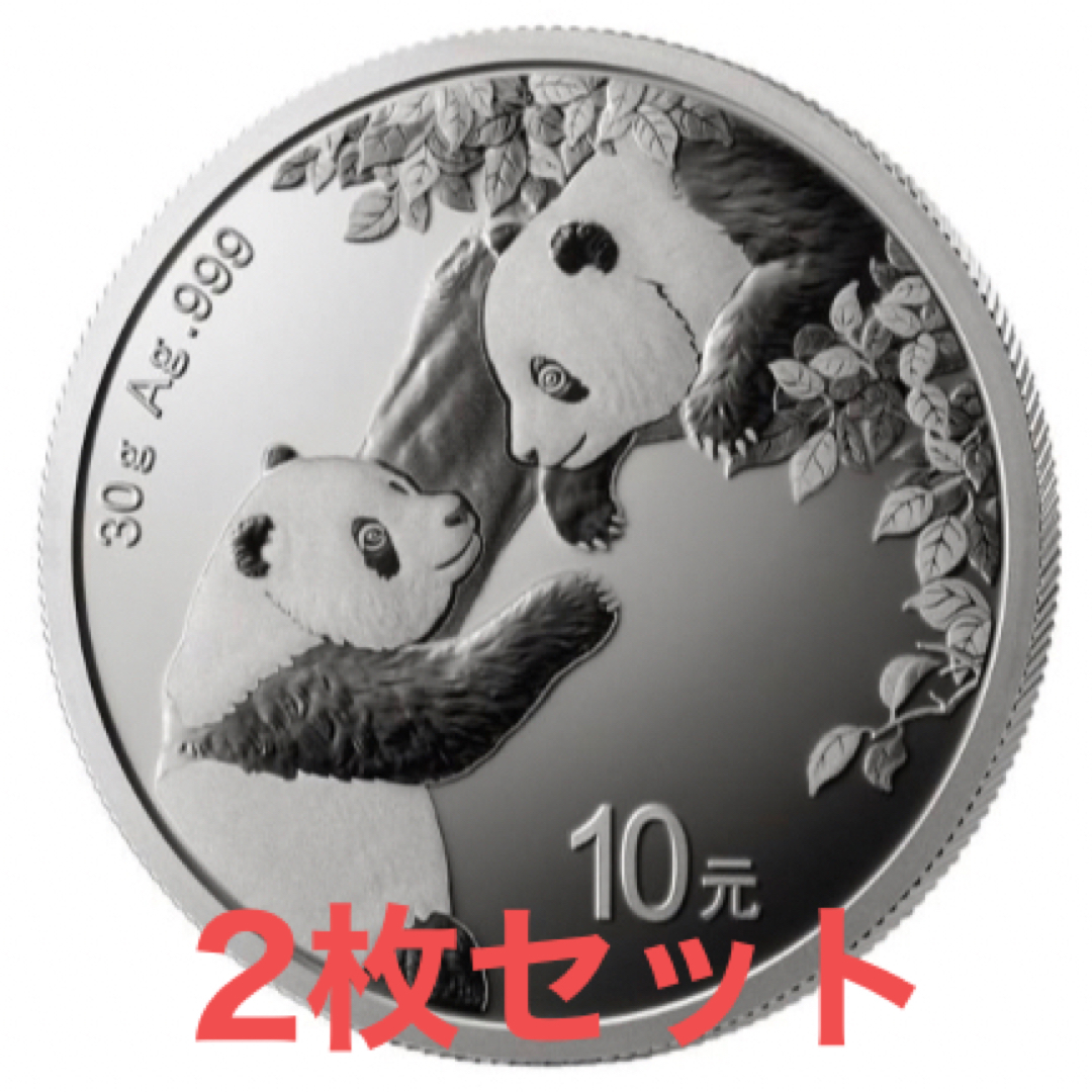 セール品　2023年 パンダ銀貨 30g 中国 シルバーコイン　2枚セット