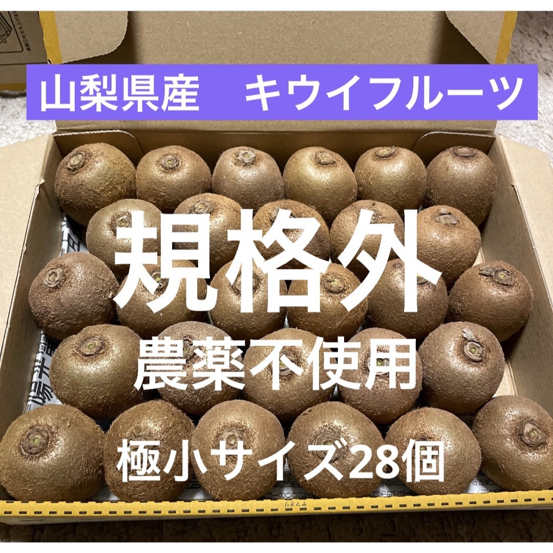 山梨県産　農薬不使用　キウイフルーツ　ヘイワード　極小28個入り 食品/飲料/酒の食品(フルーツ)の商品写真