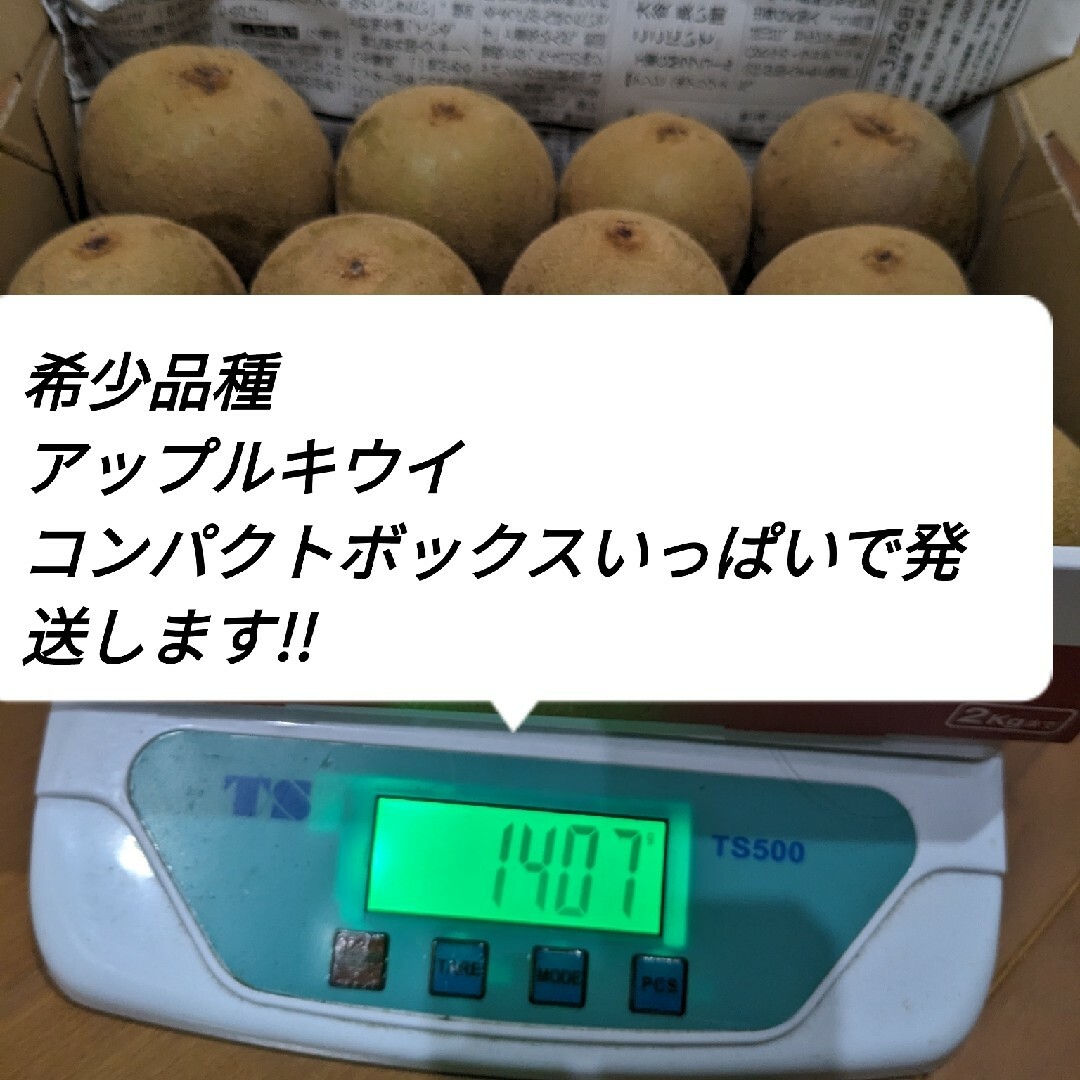 アップルキウイ 食品/飲料/酒の食品(フルーツ)の商品写真