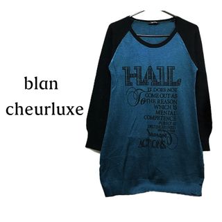 ブランシュール(blancheur)のBLANCHEURLUXE【美品】ラグラン プリント 長袖 ニット トップス(ニット/セーター)