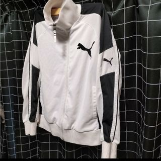 あのちゃん　PUMA プーマ　プージャ　ブルー×ホワイト　上下セット