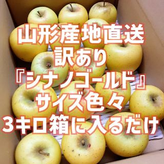 お買い得！訳あり『シナノゴールド』3キロ箱に入るだけ 山形産地直送 除草剤不使用(フルーツ)