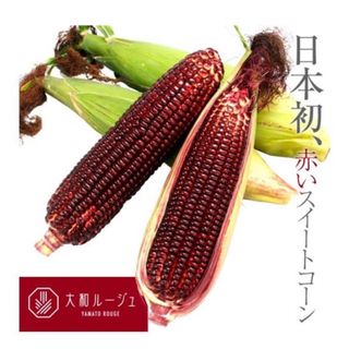 大和ルージュの種 20粒(野菜)