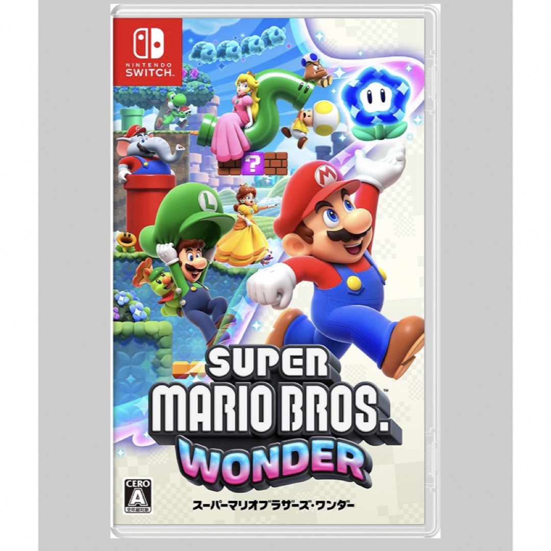 【新品】任天堂 Switch 本体　即購入歓迎！