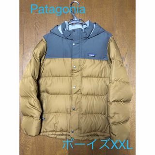 patagonia パタゴニア　レディース　M ダウンセーター　ライトブルー