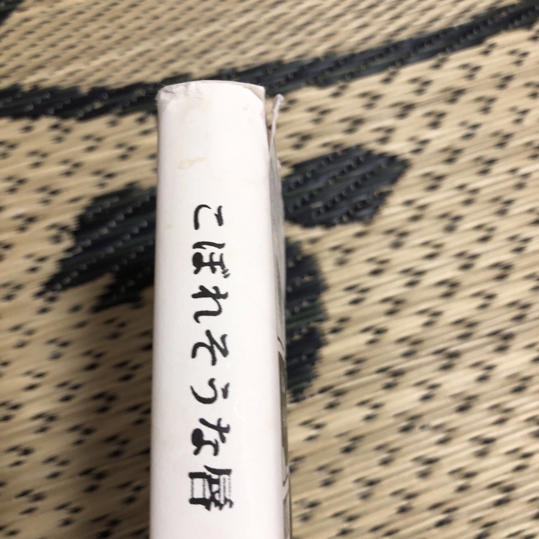 小学館(ショウガクカン)のこぼれそうな唇 LiLy エンタメ/ホビーの本(文学/小説)の商品写真