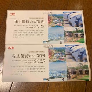 日本駐車場開発　株主優待優待(その他)