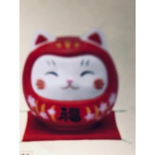 ダルマ猫招き猫新品