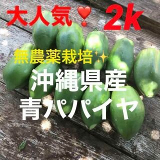 1105大人気❣️農薬不使用✨沖縄産青パパイヤ✨箱別2k分✅(野菜)
