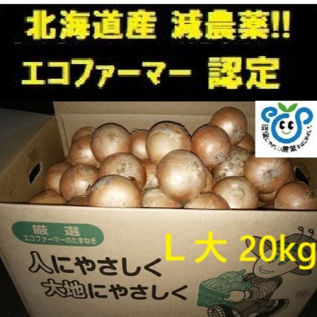 by　サイズの通販　北海道産　L大　20kg　玉ねぎ　畑から食卓ヘ｜ラクマ