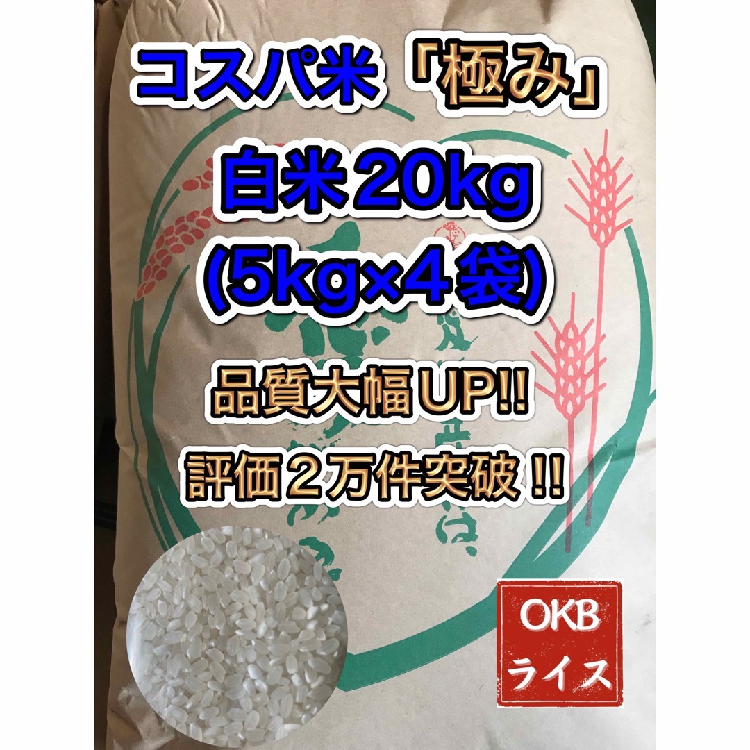 【数量限定】大特価セール！コスパ米20kg(5kg×4袋) 新米　お米