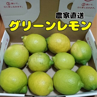 【限定販売】国産グリーンレモン 農薬不使用 ゆうパケット発送(フルーツ)