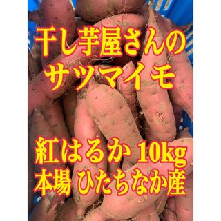 干し芋屋さんの紅はるか(ひたちなか産) 10kg(箱込み)(野菜)