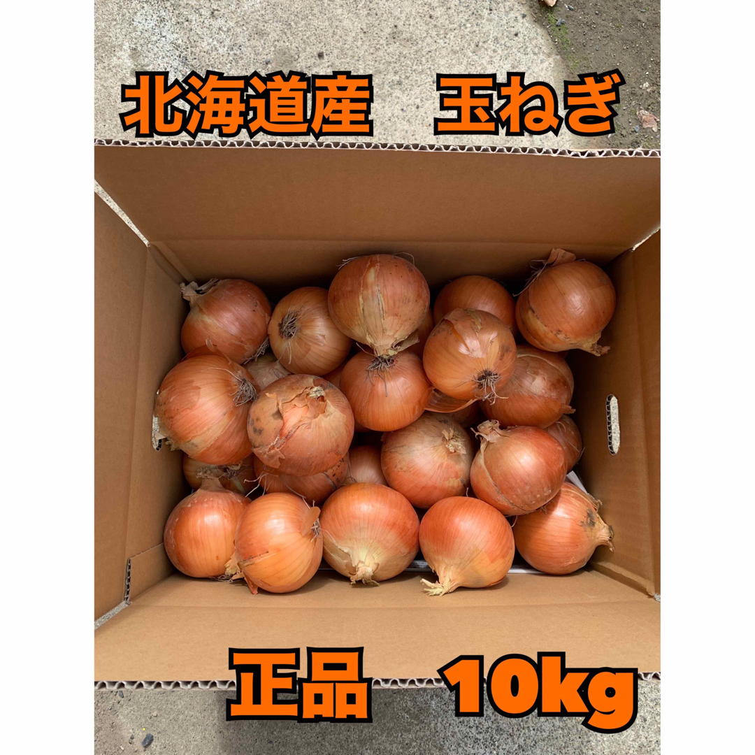 北海道産　玉ねぎ　正品　10kg 食品/飲料/酒の食品(野菜)の商品写真