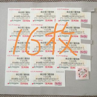 カスミ株主優待券16枚　カード1(その他)