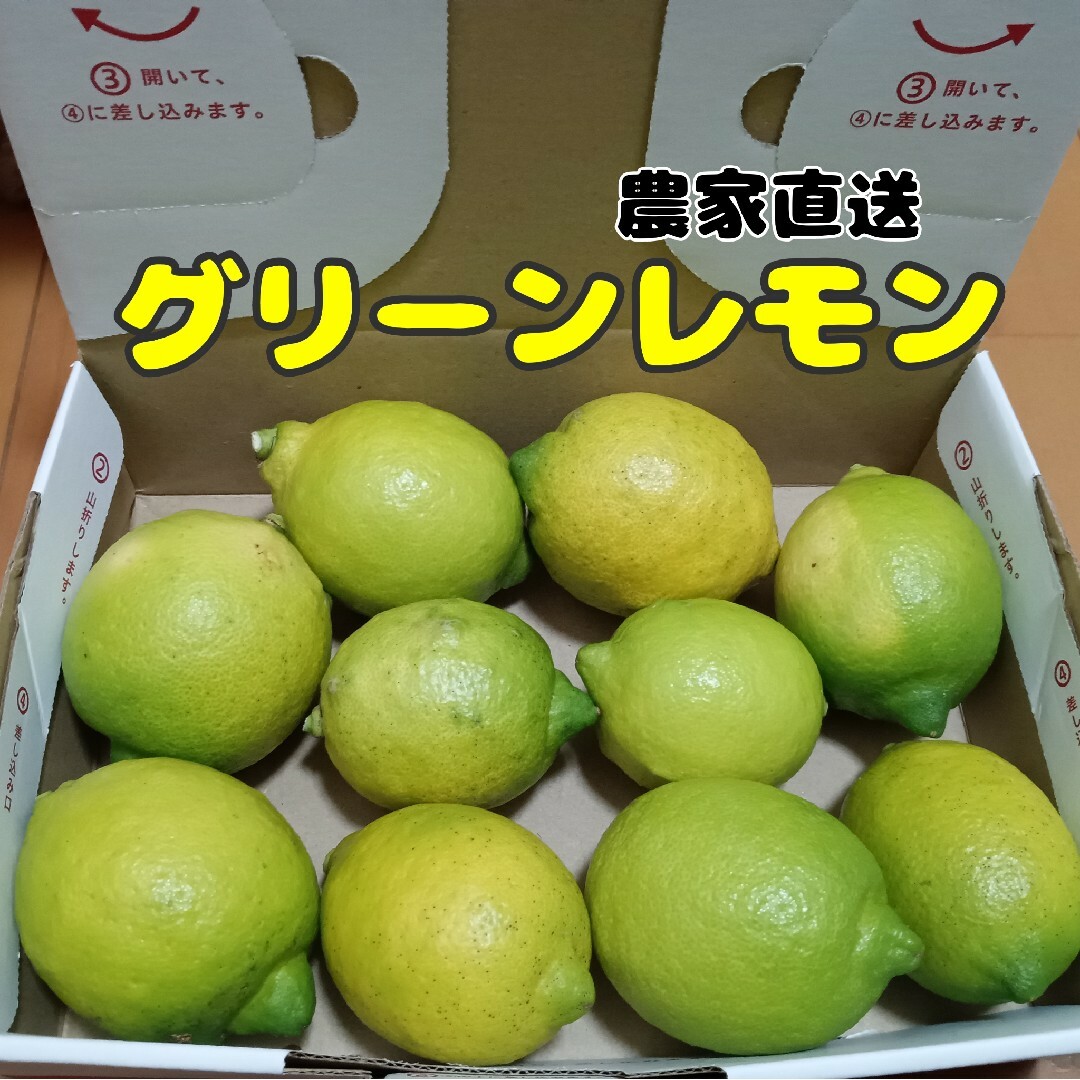 【限定販売】国産グリーンレモン 農薬不使用 ゆうパケット発送 食品/飲料/酒の食品(フルーツ)の商品写真