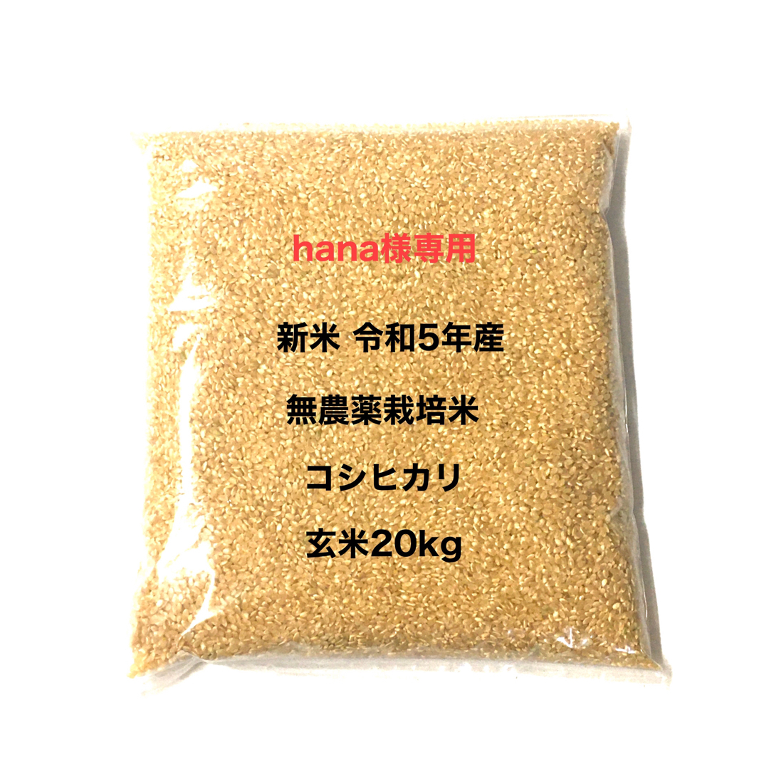 見事な創造力 hana様専用 新米 令和5 無農薬コシヒカリ玄米20kg、焼き