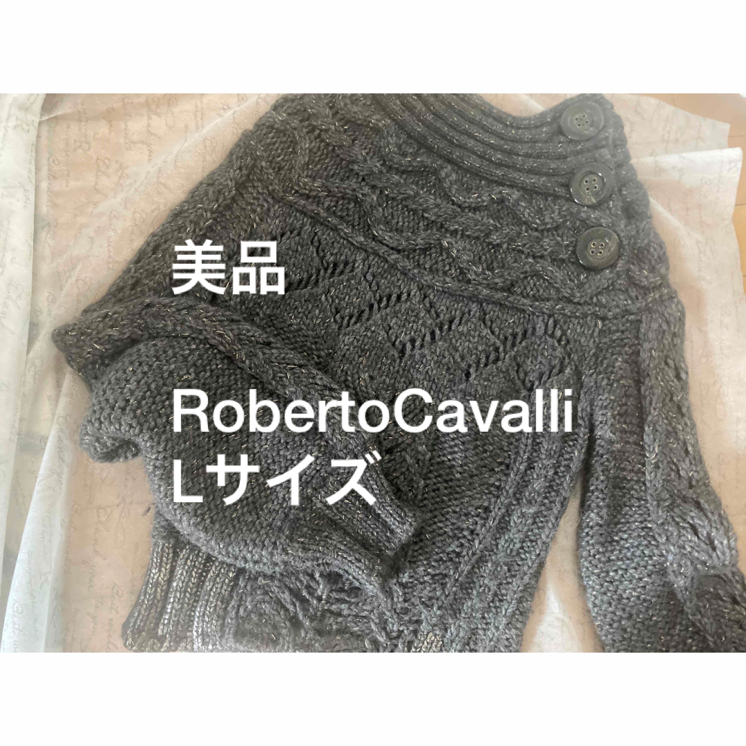 Roberto Cavalli(ロベルトカヴァリ)の美品　イタリアハイブランド　ロベルトカヴァッリ　ニット　セーター レディースのトップス(ニット/セーター)の商品写真