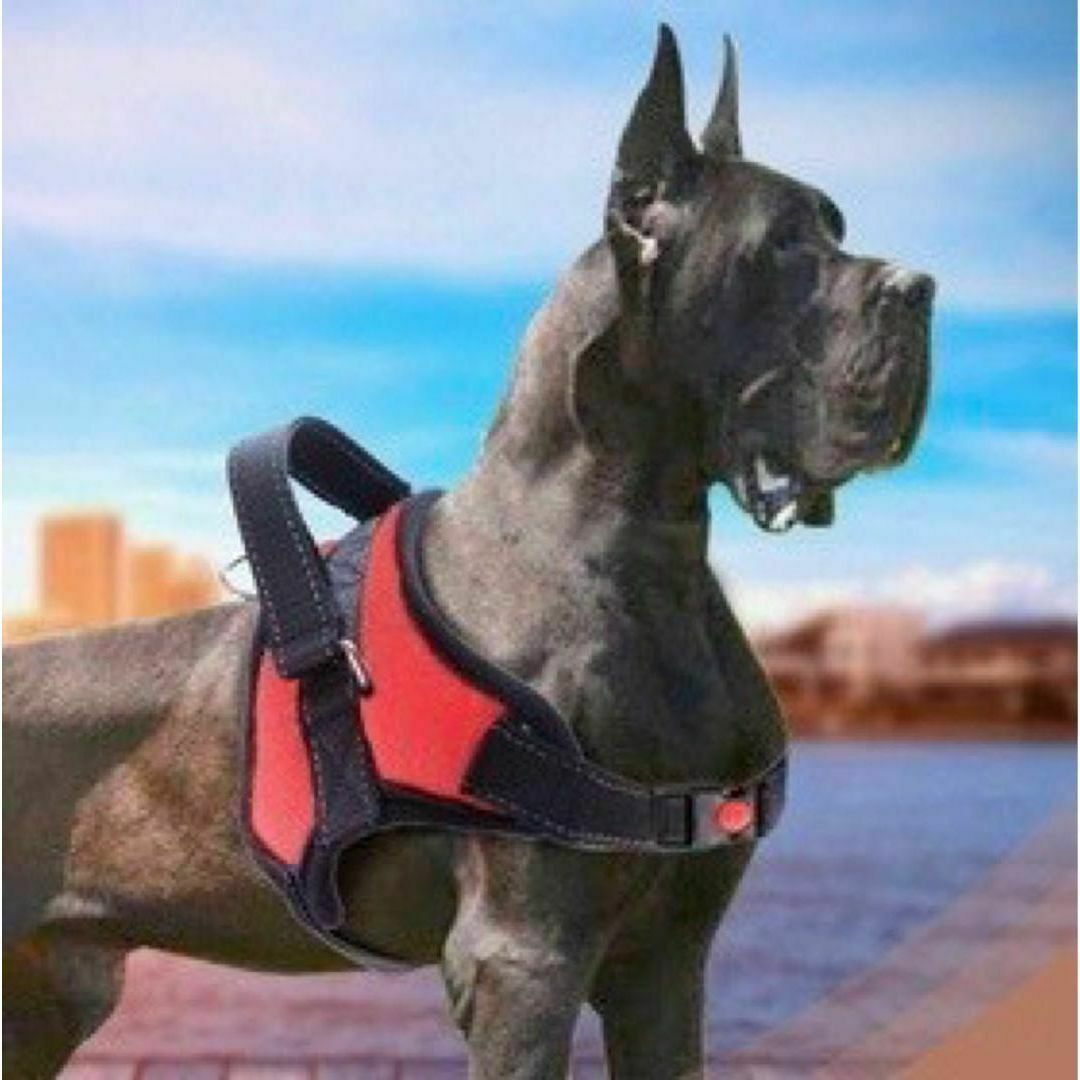 【Mサイズ】ハーネス 犬用品 レッド 赤 犬服 ペット服 胴輪 大型犬 ソフト その他のペット用品(犬)の商品写真