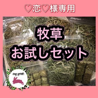 ペットフードの通販 60,000点以上(その他) | お得な新品・中古・未