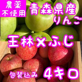 お買い得♪数量限定☆ 高知特産　土佐文旦　露地文旦　約10㎏　文旦