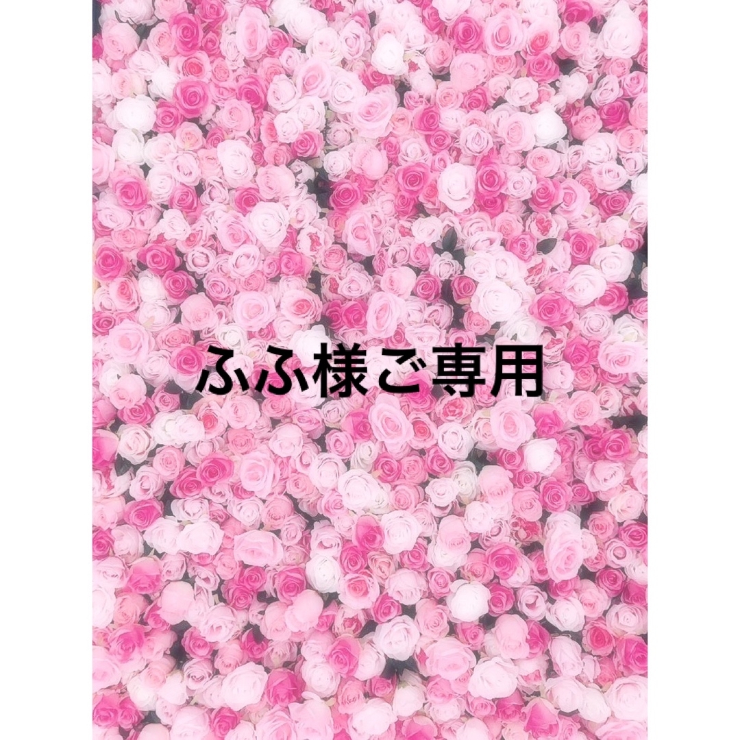ふふ様ご専用です。 ふふ様ご専用です。