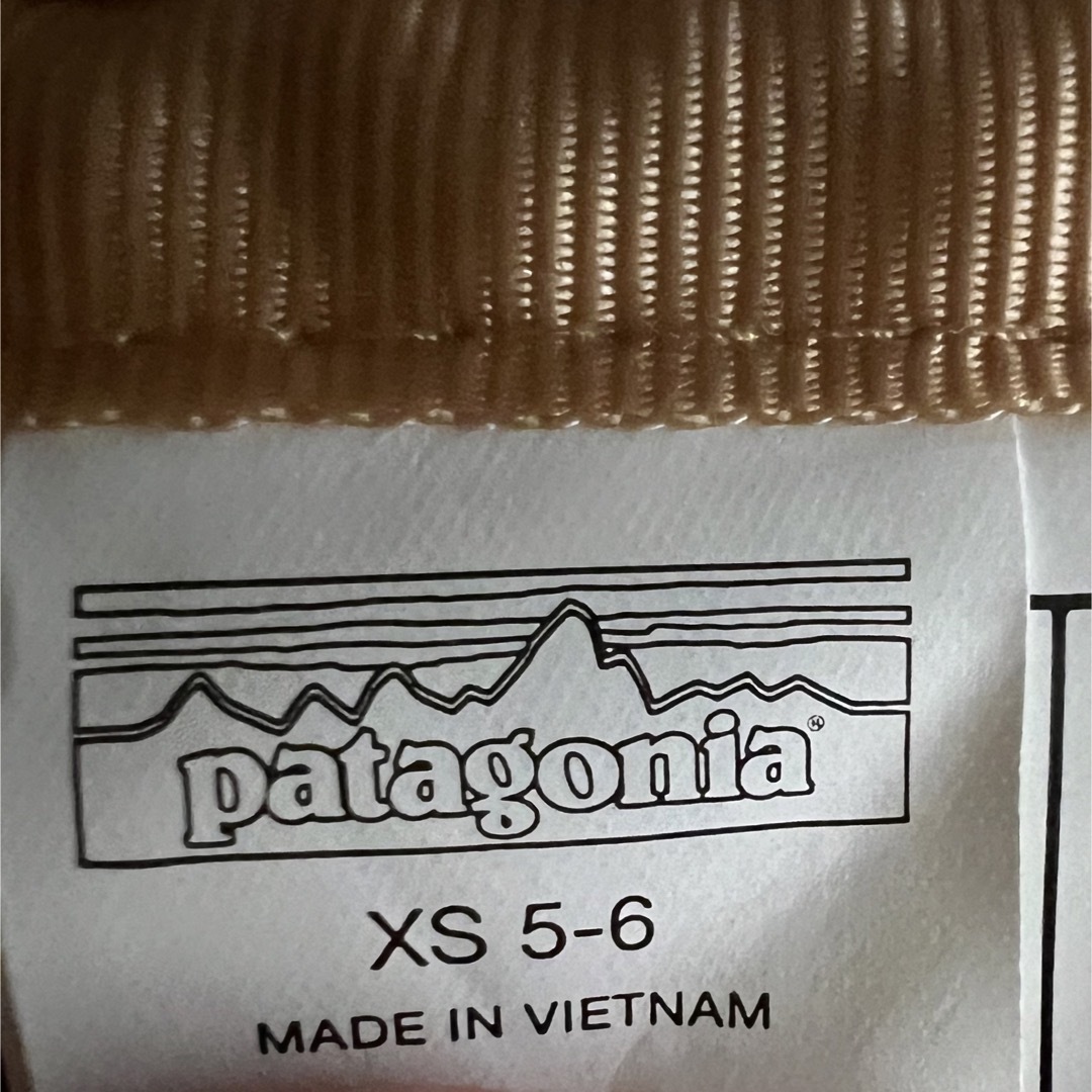 patagonia(パタゴニア)のキッズ・リバーシブル・レディ・フレディ・フーディ キッズ/ベビー/マタニティのキッズ服男の子用(90cm~)(ジャケット/上着)の商品写真