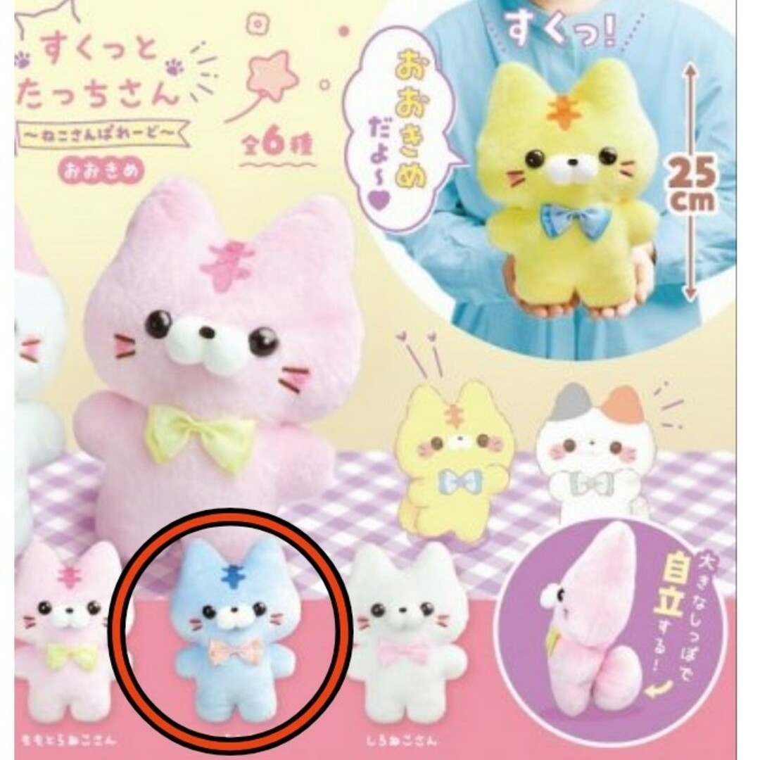 すくっとたっちさん おおきめ ねこさん あおとらねこさん すくっとたっちさん おおきめ ねこさん あおとらねこさん