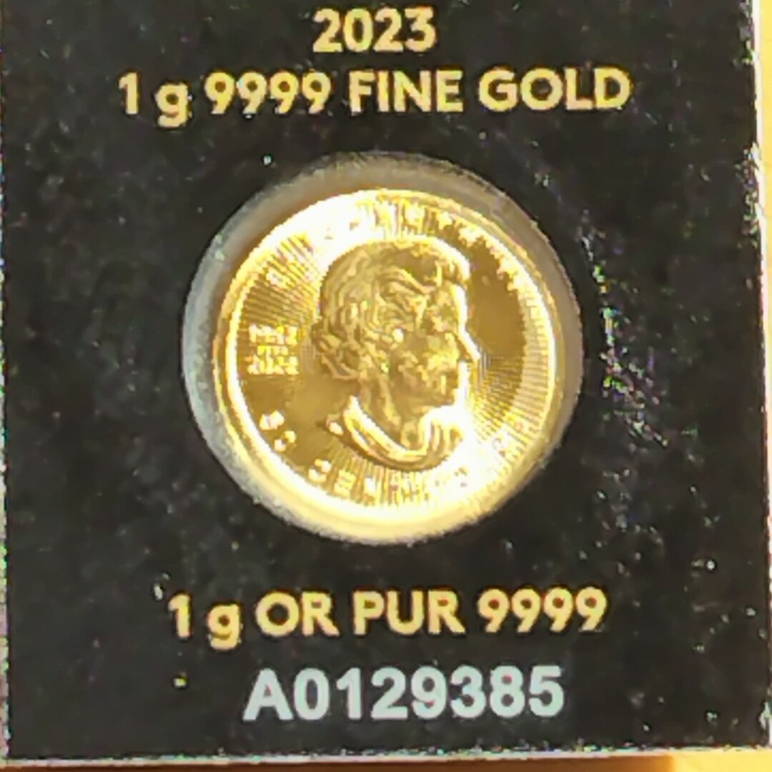 金銀セット メイプル金貨 1ｇ ＋ シルバー1g