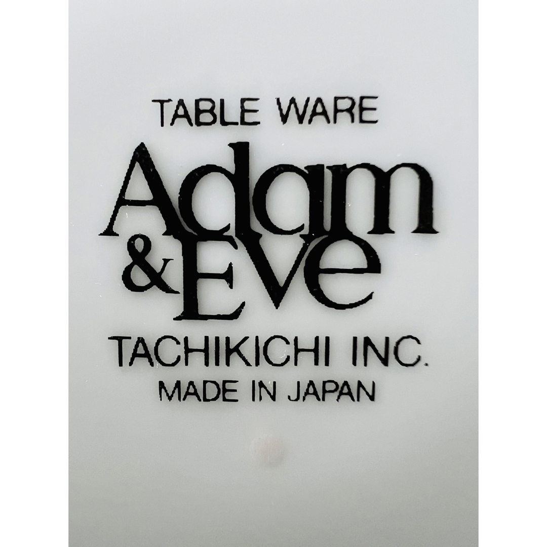 たち吉(タチキチ)の【Adam&Eve】レッドゴールドライン パーティープレート ６点セット たち吉 インテリア/住まい/日用品のキッチン/食器(食器)の商品写真