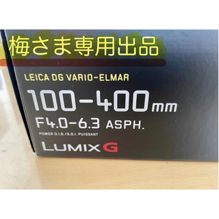 パナソニック(Panasonic)のLUMIX ルミックス H-RS100400望遠レンズ ライカ パナソニック(レンズ(ズーム))