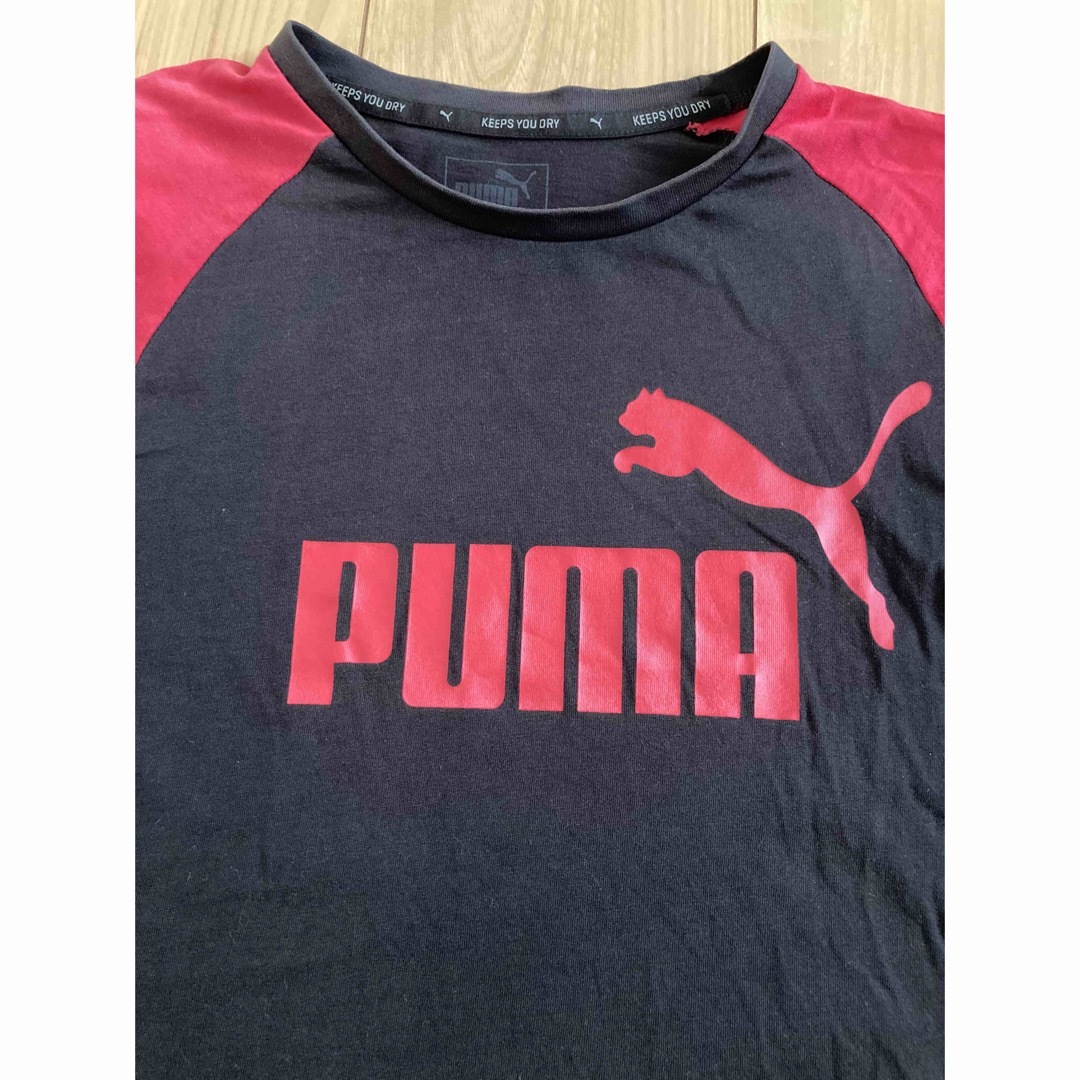 PUMA(プーマ)の140 まとめ売り キッズ/ベビー/マタニティのキッズ服男の子用(90cm~)(その他)の商品写真