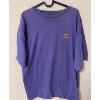 週末値下げL 絶滅危惧種 90s patagonia Tシャツ パタゴニア 紫