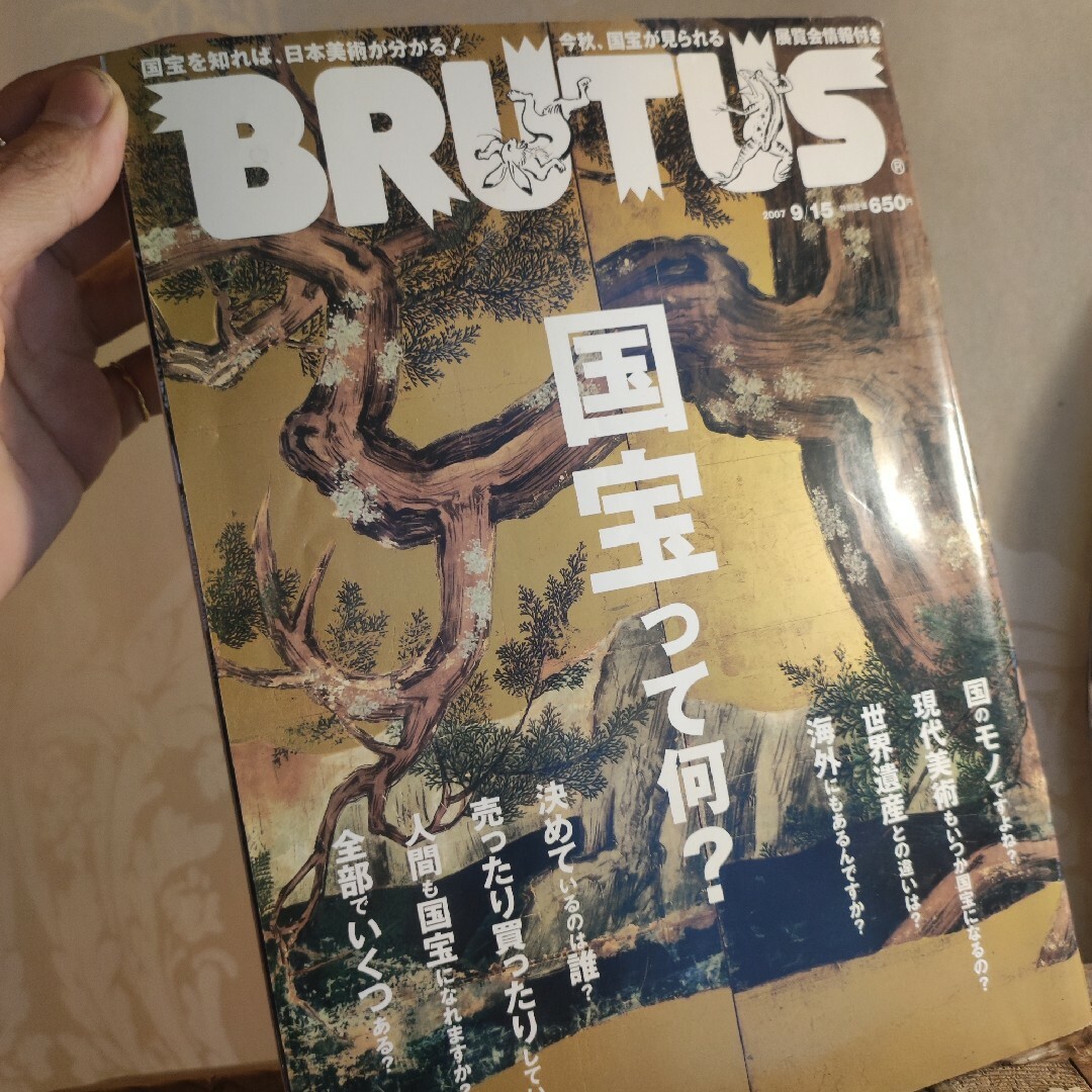 by　BRUTUS　国宝って何？　図録の通販　画家　2007年　ブルータス　9/15号　ROUTE666｜ラクマ