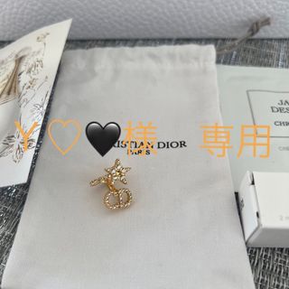 Dior   ディオール GP×ラインストーン ゴールド ユニセックス ピアスの