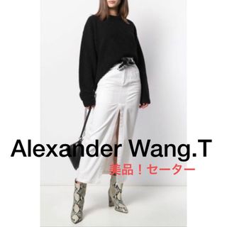 アレキサンダーワン(Alexander Wang)のAlexander Wang セーター(ニット/セーター)