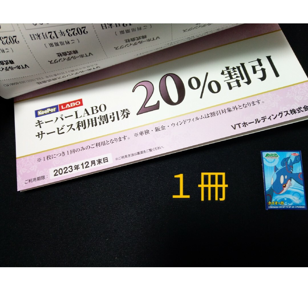 VTホールディングス株式会社の株主優待券1冊 - 割引券