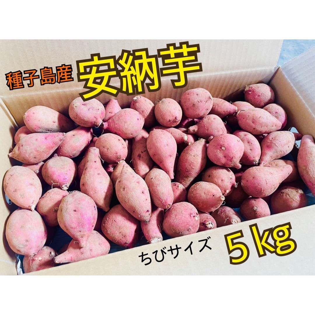 種子島産　安納芋　ちびサイズ　5キロ 食品/飲料/酒の食品(野菜)の商品写真