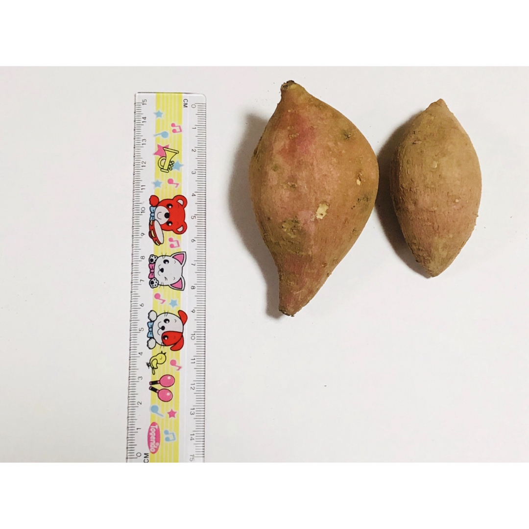 種子島産　安納芋　ちびサイズ　5キロ 食品/飲料/酒の食品(野菜)の商品写真